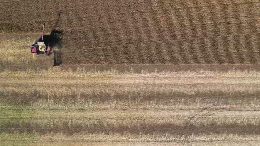 A farmer is seen tilling a wheat field in a generic file image.